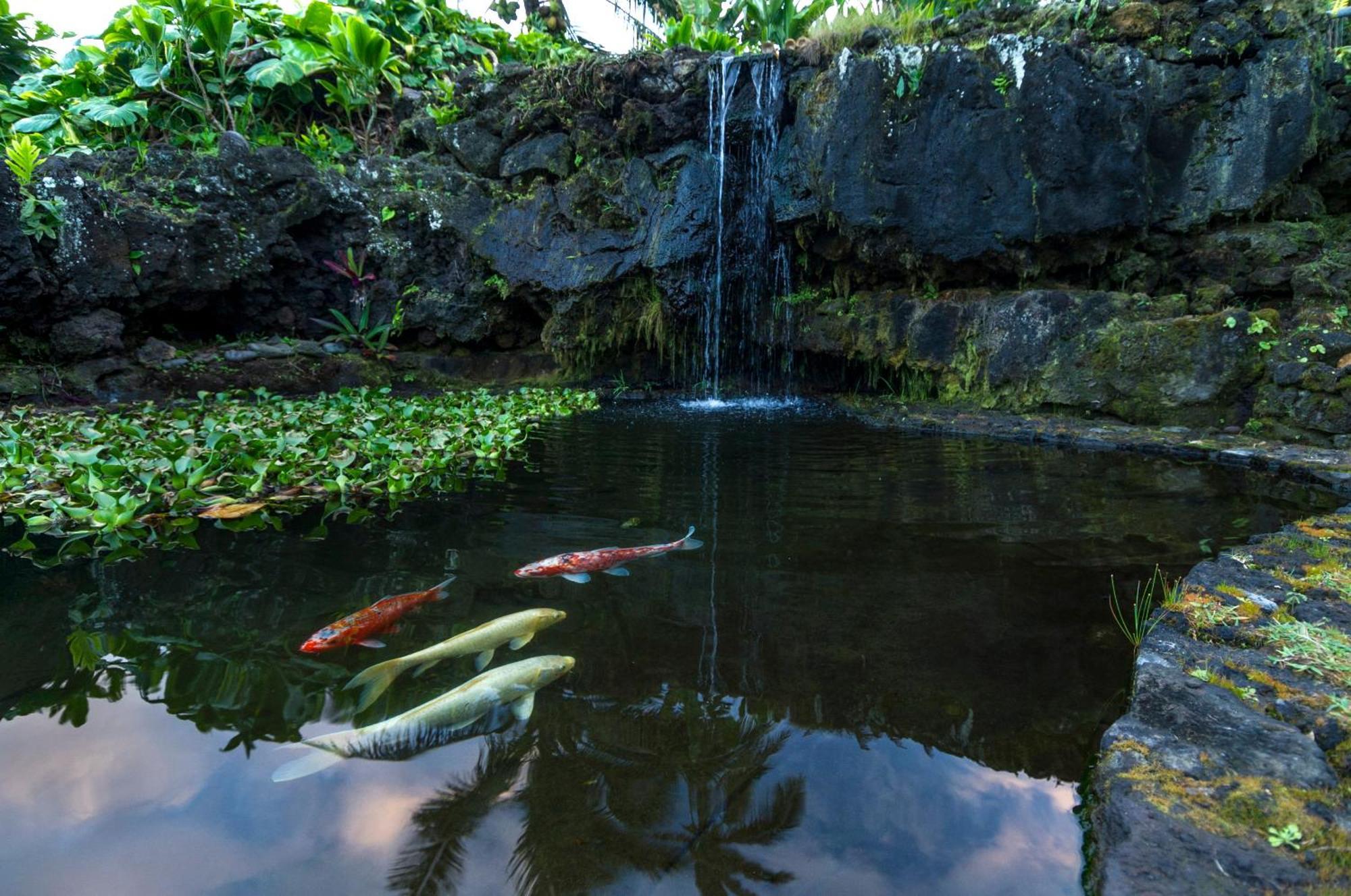 Hana Kai Maui - #106 Kuakahi Partial Oceanview Studio ภายนอก รูปภาพ